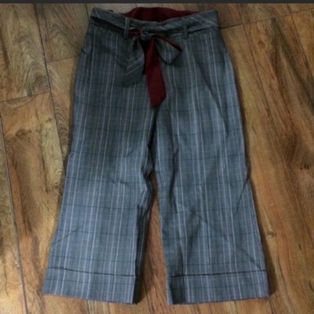 Beautiful Dressy Capris